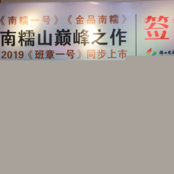 佛山電視台和百茗彙合辦尋茶記南糯山簽售會